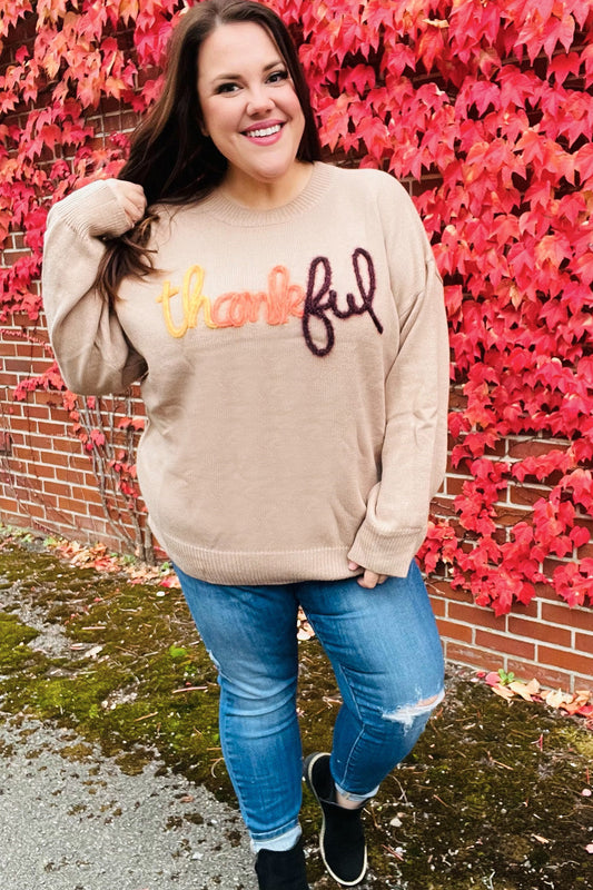 Aida® | Feeling Thanksful – Sweter typu pop-up z błyszczącym haftem w kolorze taupe